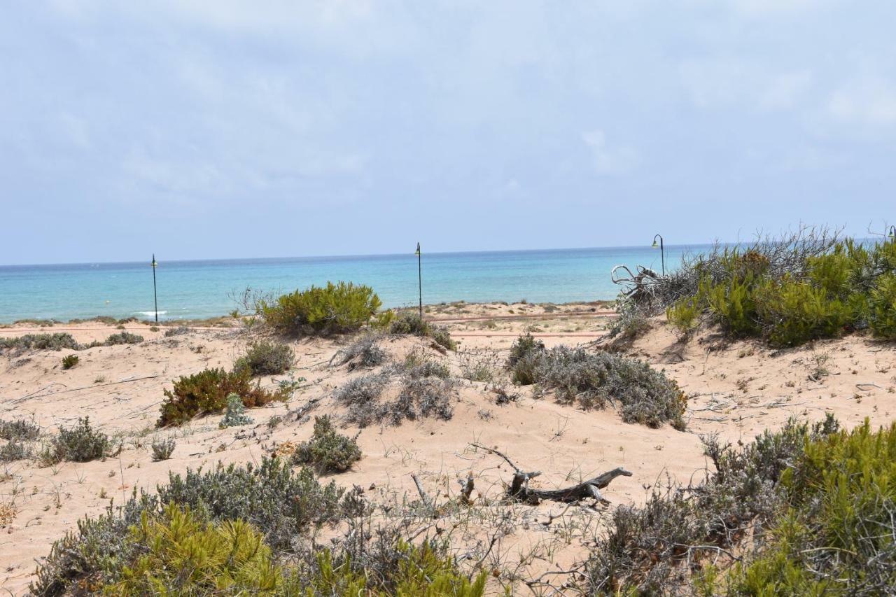 Apartment Vinamar III - Sunny La Mata La Mata  Εξωτερικό φωτογραφία