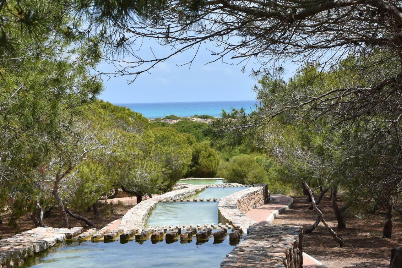 Apartment Vinamar III - Sunny La Mata La Mata  Εξωτερικό φωτογραφία